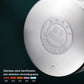 Stainless Steel Fry Pot