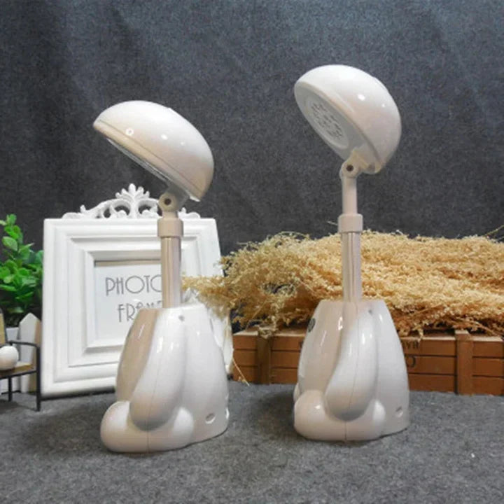 Rechargeable Learning Table Lamp